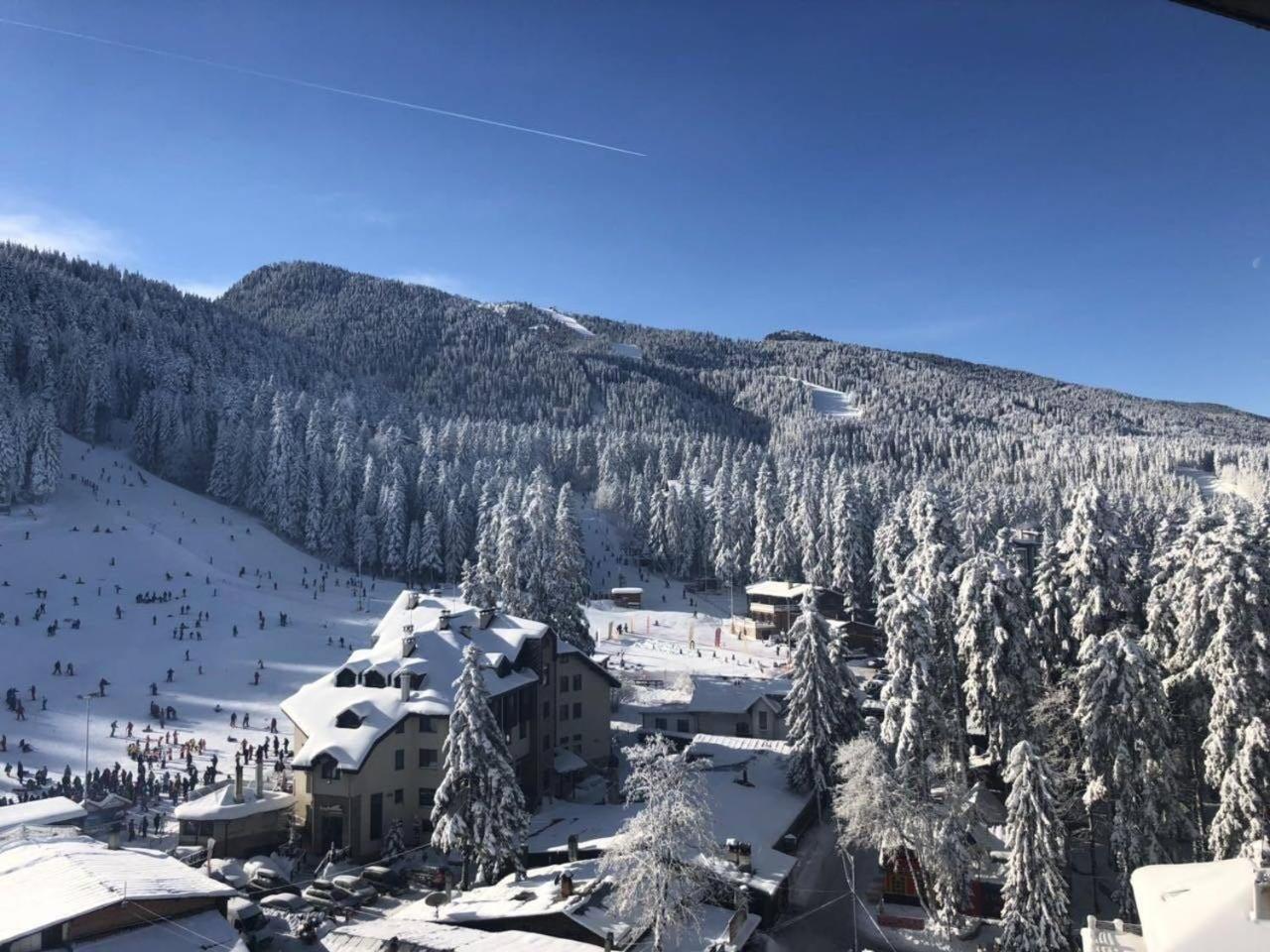 Apartment Iva - Iglika 2 Borovets Ngoại thất bức ảnh