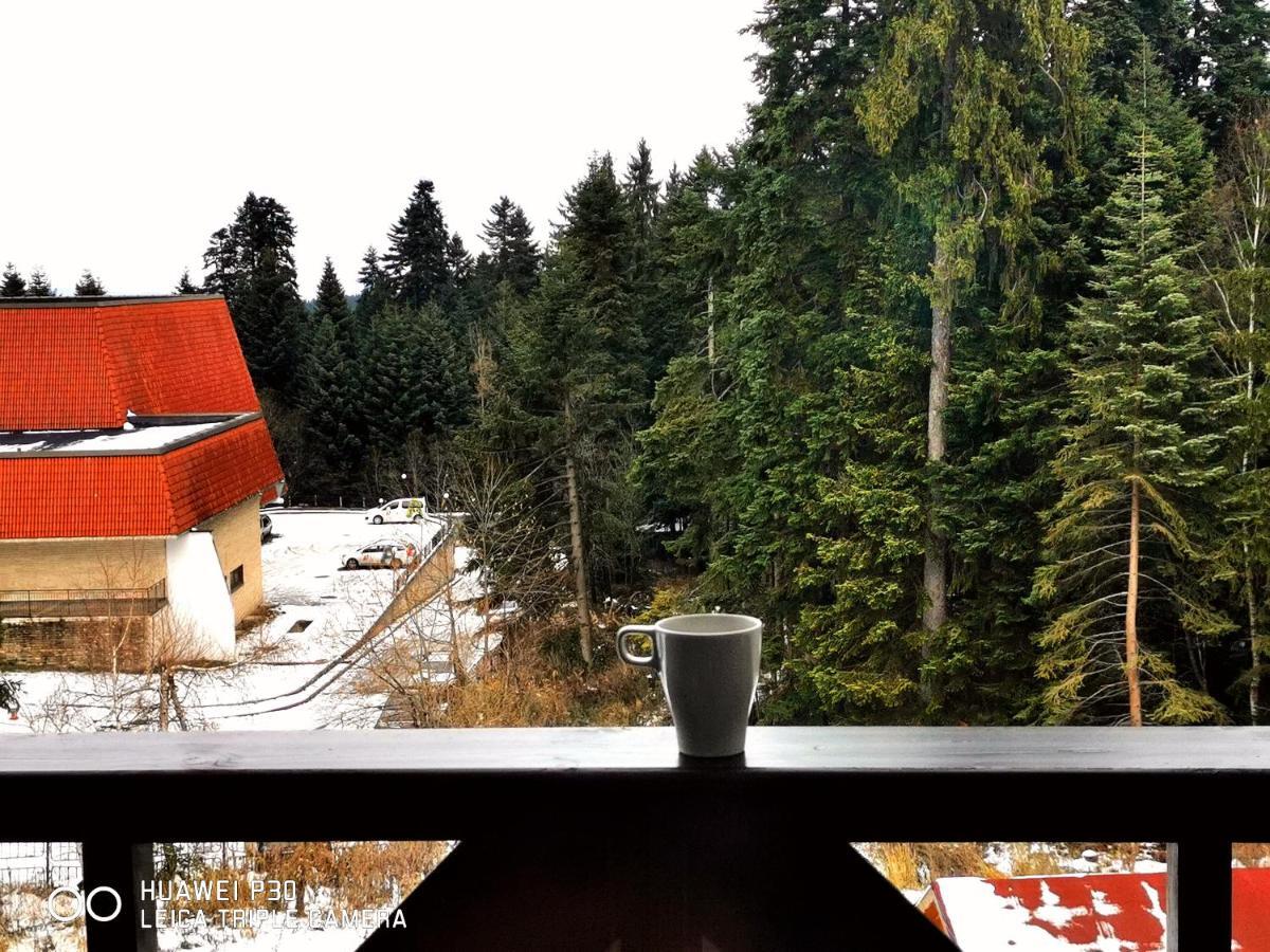Apartment Iva - Iglika 2 Borovets Ngoại thất bức ảnh